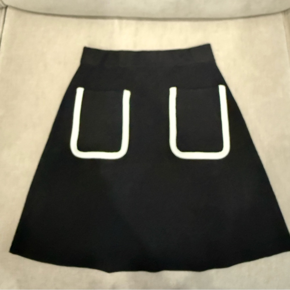 NWOT Zara Knit Minimalist Skirt, Size XS